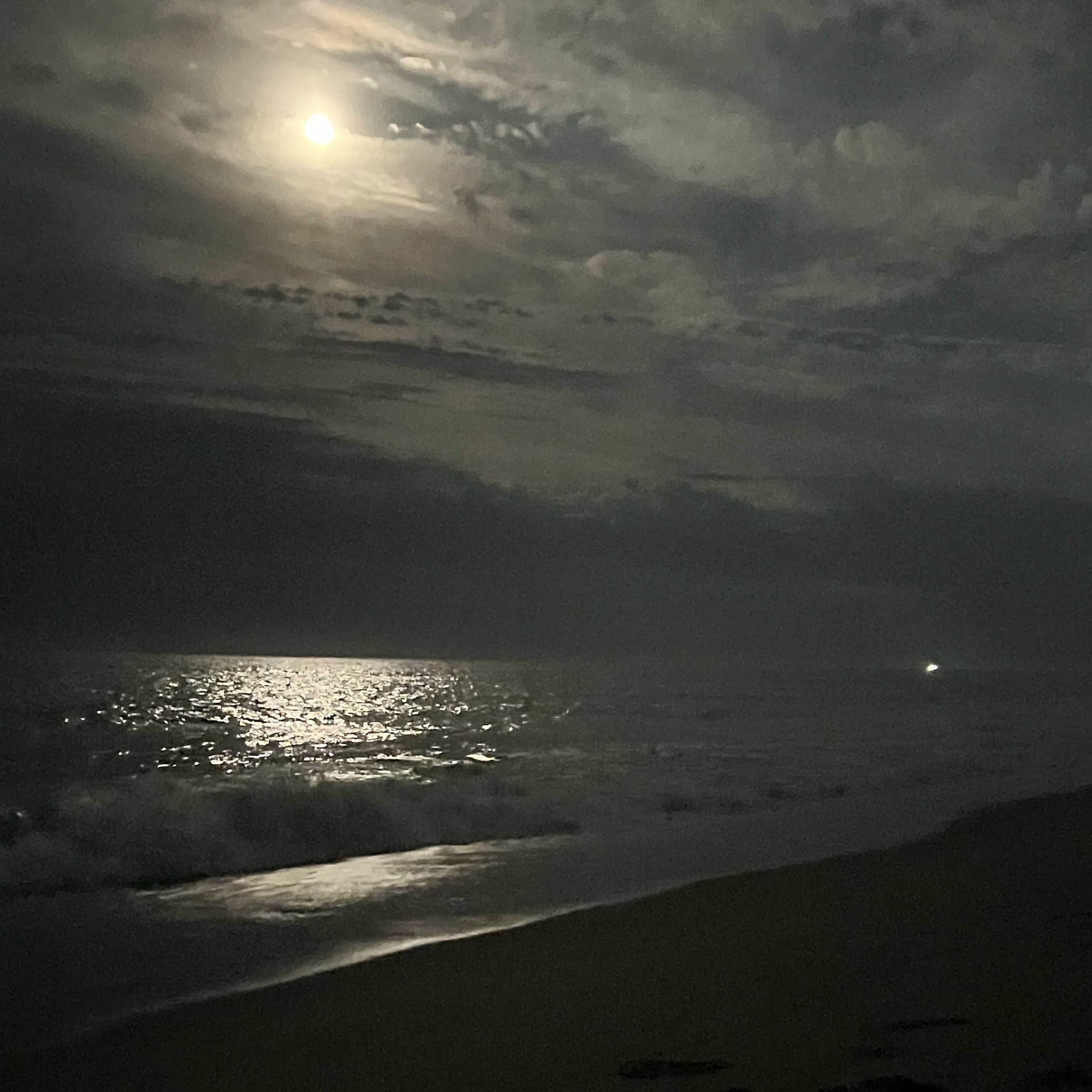 Album cover of night owl