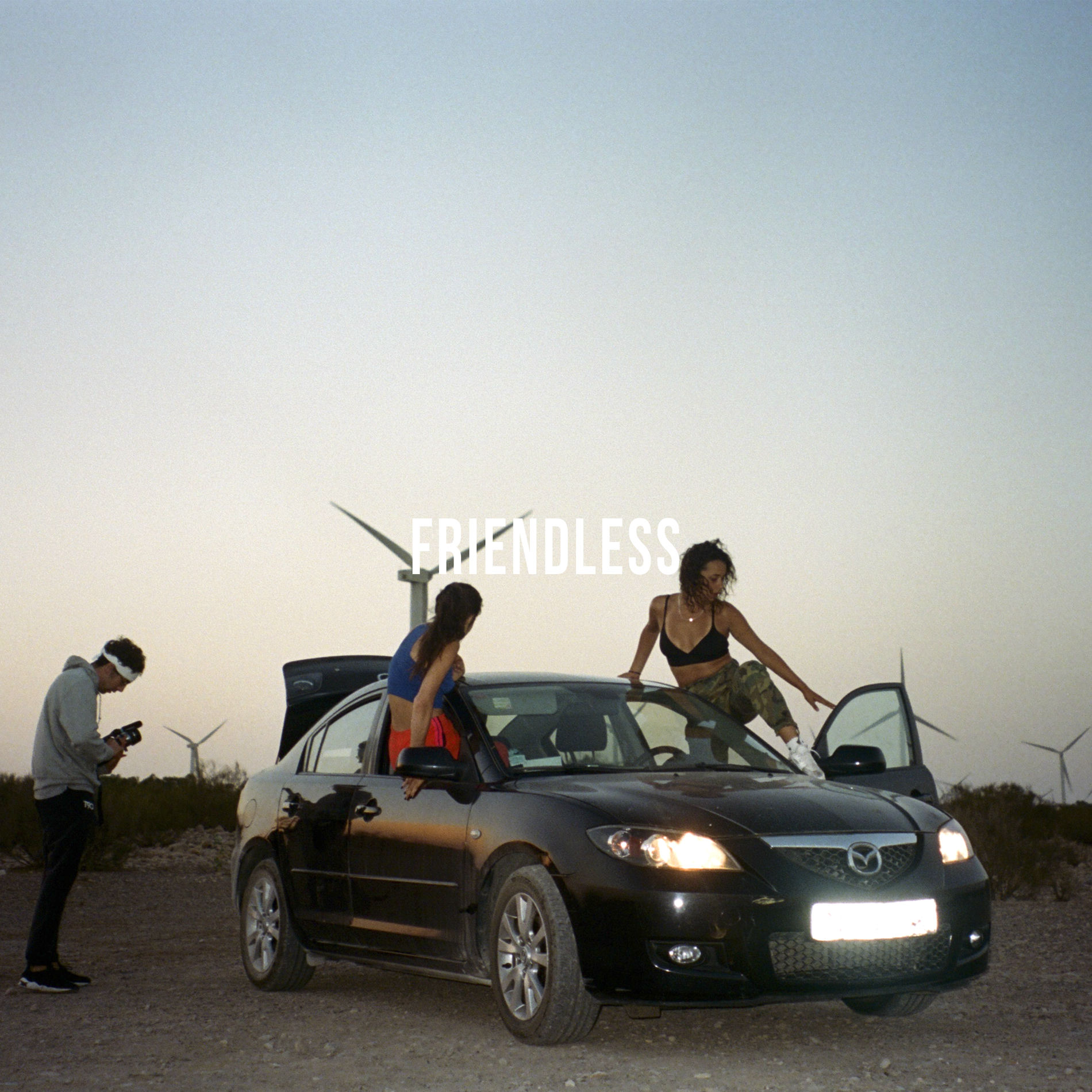 Album cover of Friendless