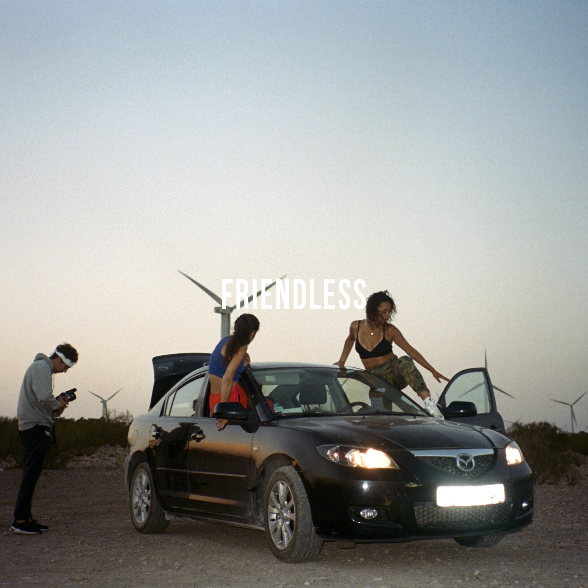 Album cover of Friendless