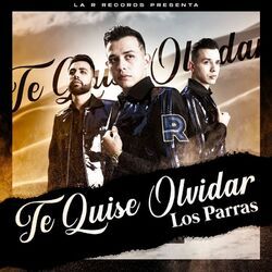 Cover of Te Quise Olvidar
