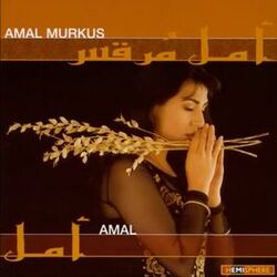 Cover of Amal