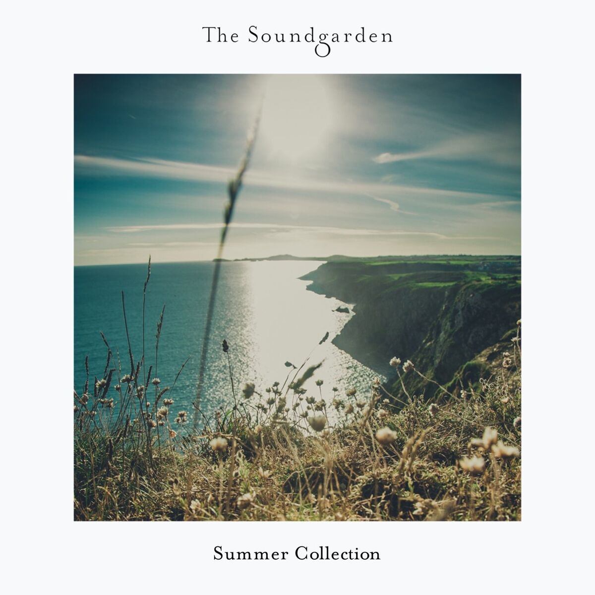 Album cover of Summer Collection