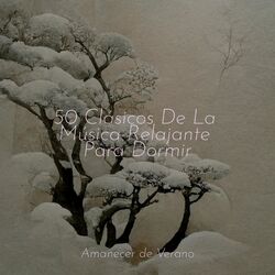 Cover of 50 Clásicos De La Música Relajante Para Dormir