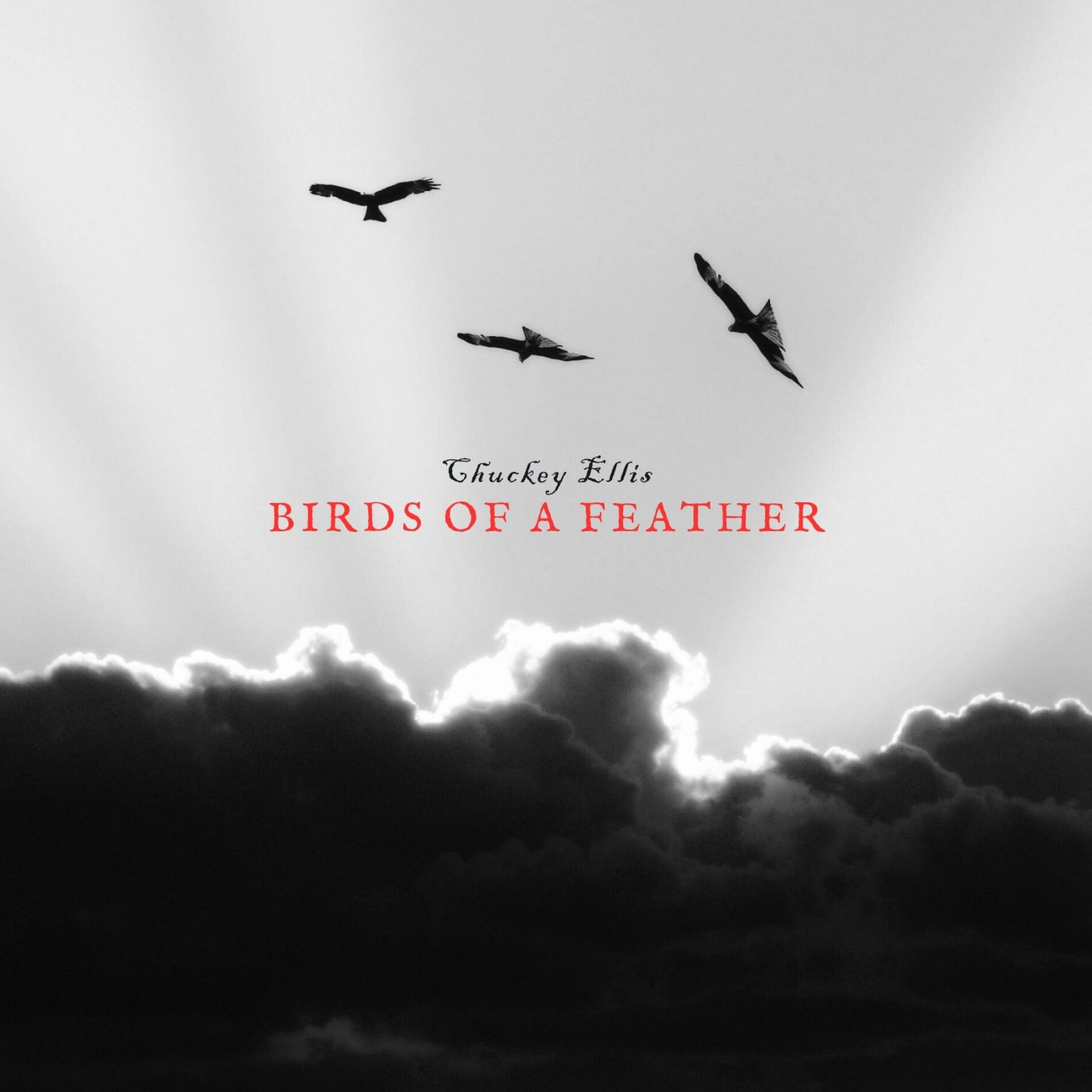 Album cover of Birds Of A Feather (Gospel Version)