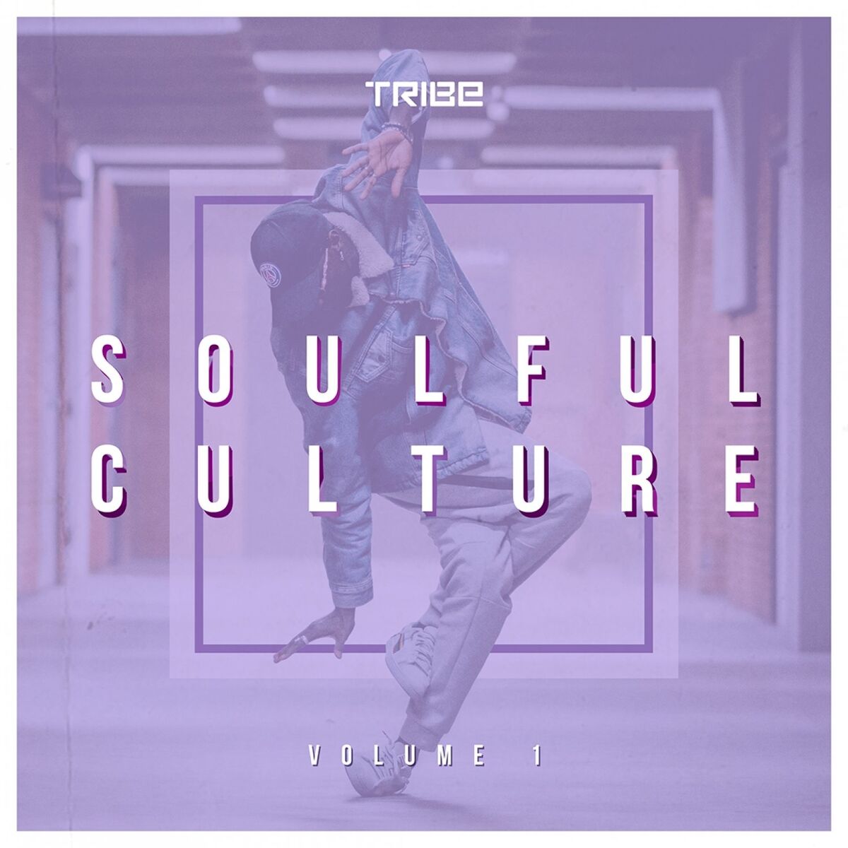 Album cover of Zepherin Saint presents Soulful Culture, Vol. 1