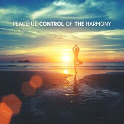 Cover of Peaceful Control Of The Harmony