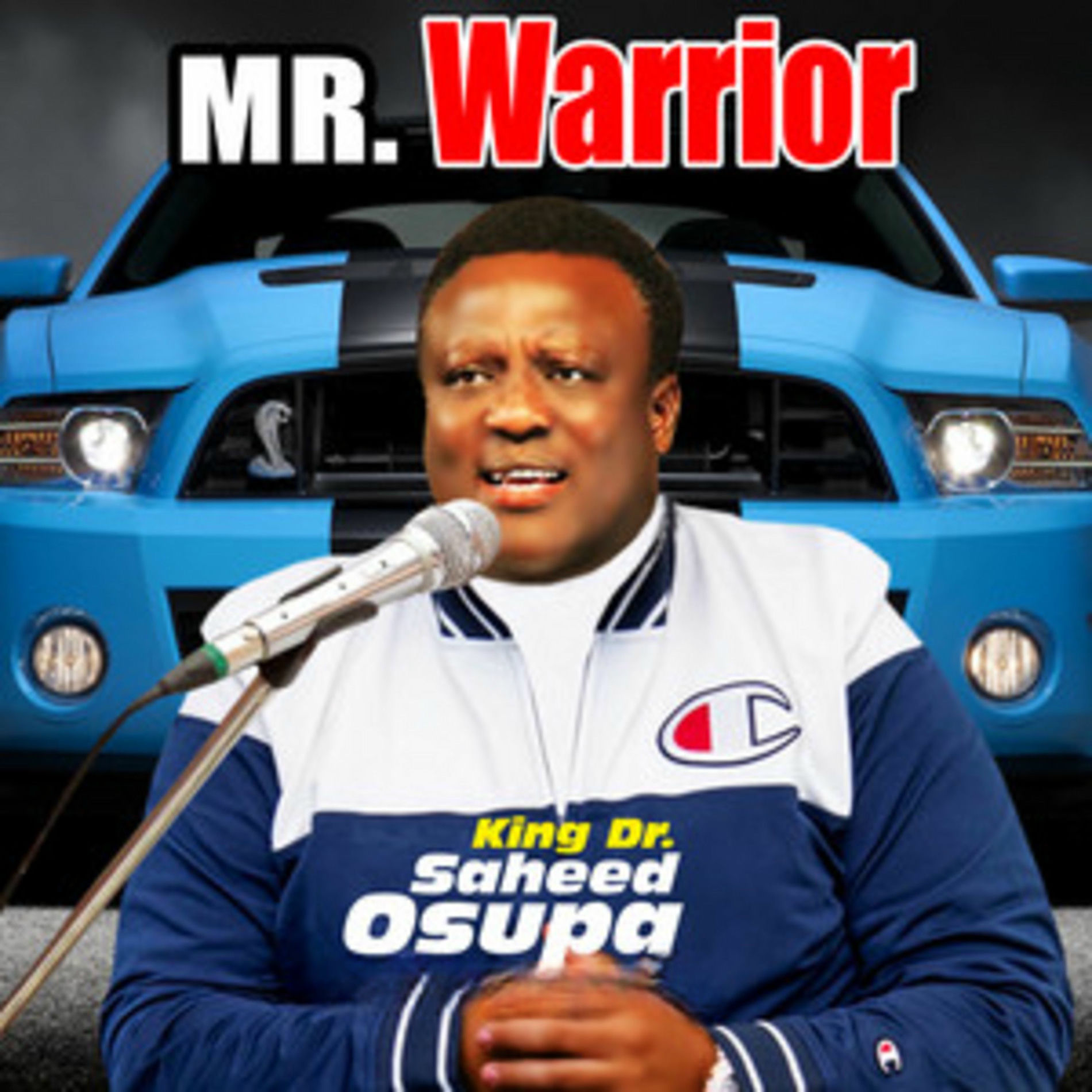Album cover of Mr Warrior