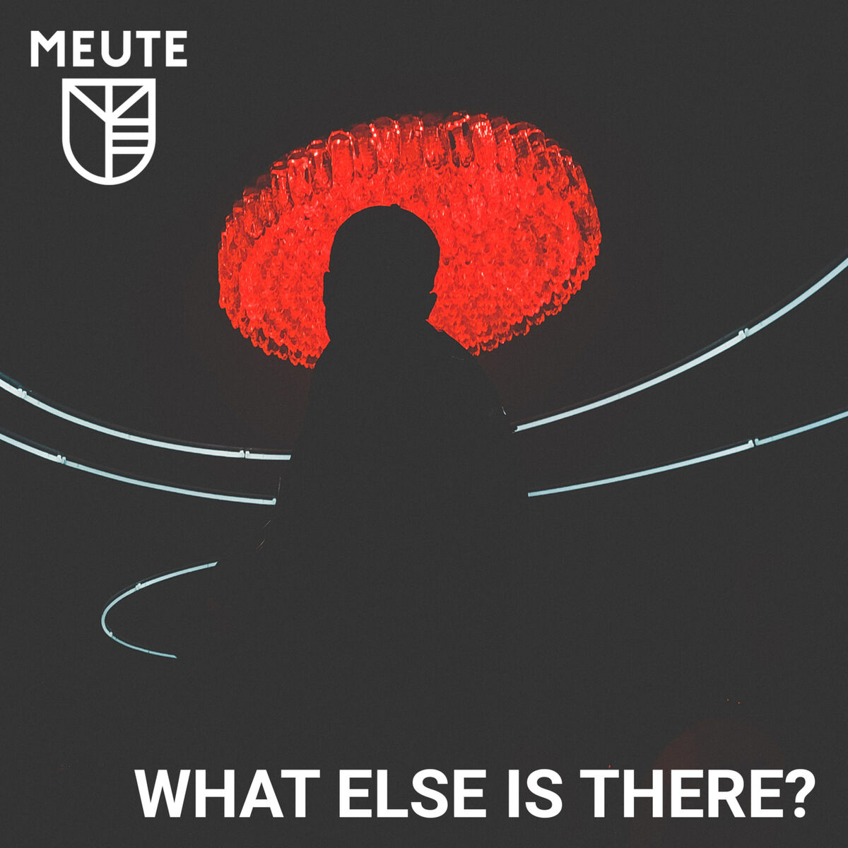Album cover of What Else is There?
