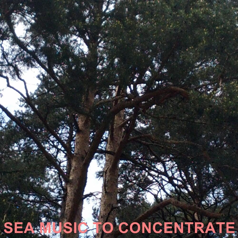 Picture of Sea Music To Concentrate