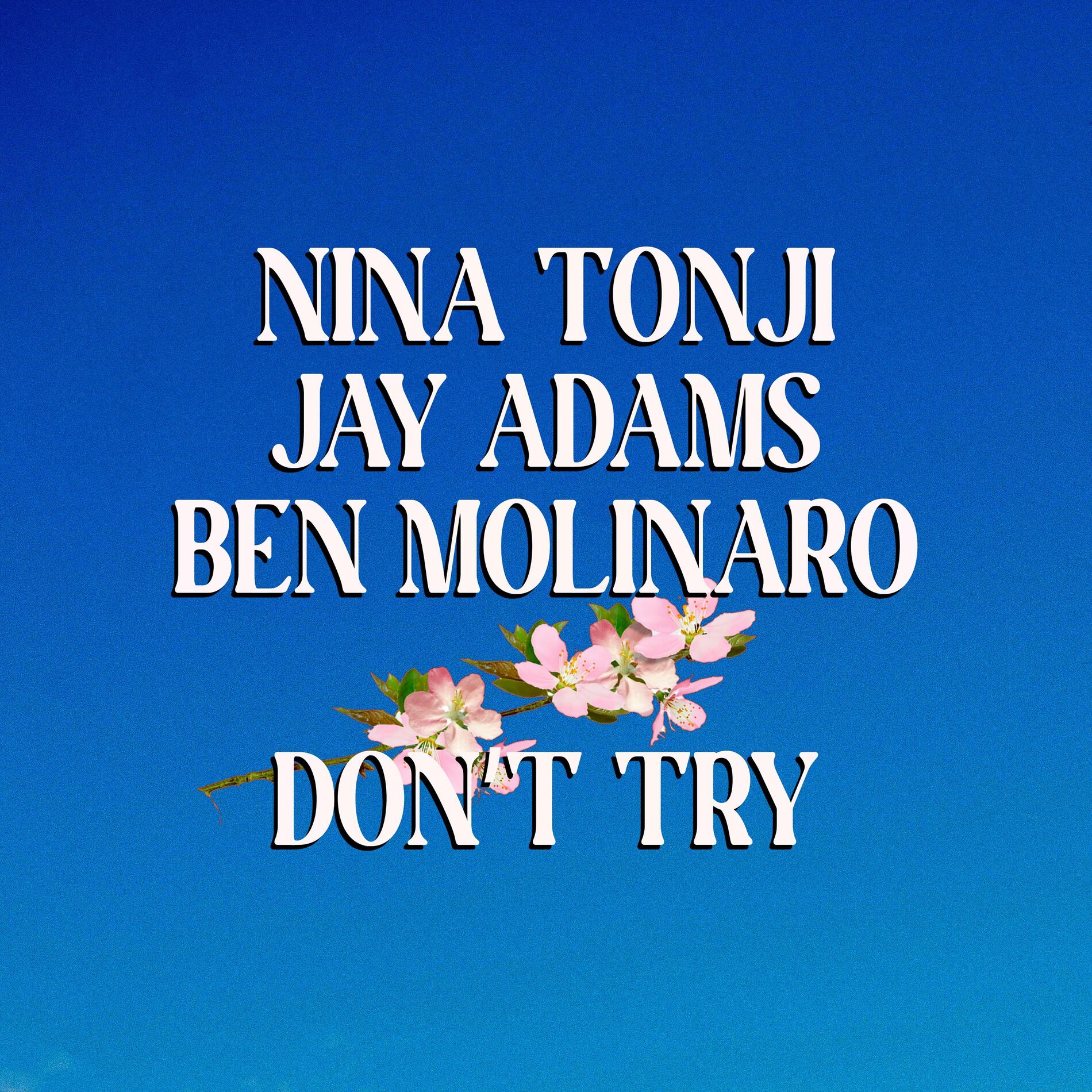 Album cover of Don't Try