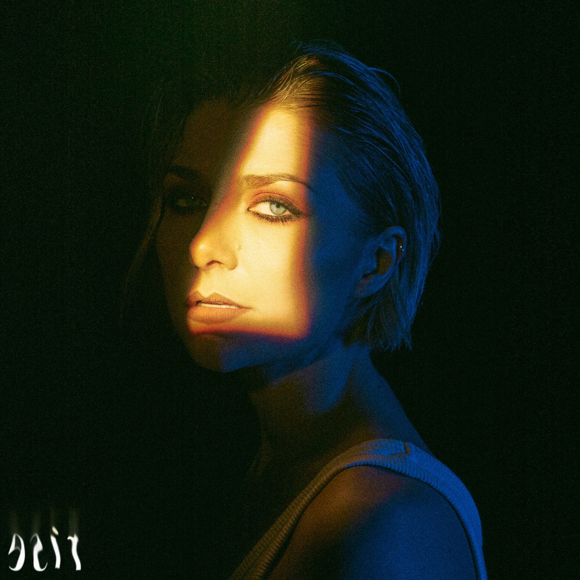 Album cover of Rise