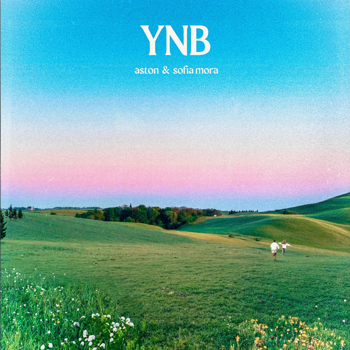 Album cover of Y Nos Besamos
