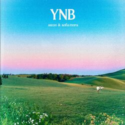 Cover of Y Nos Besamos