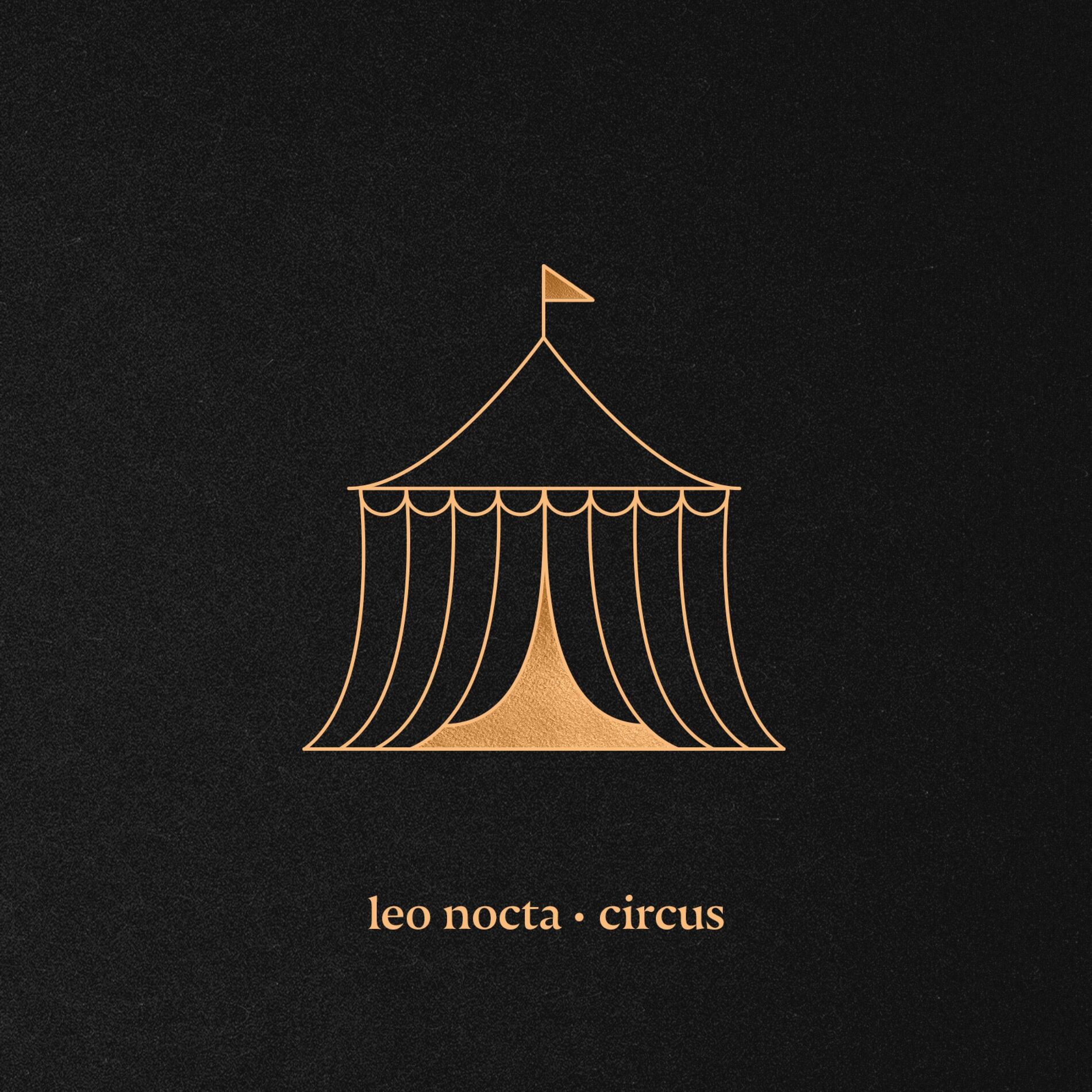 Album cover of circus
