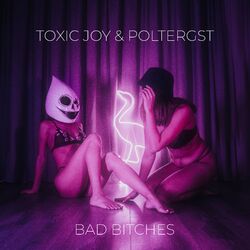 Cover of Bad Bitches