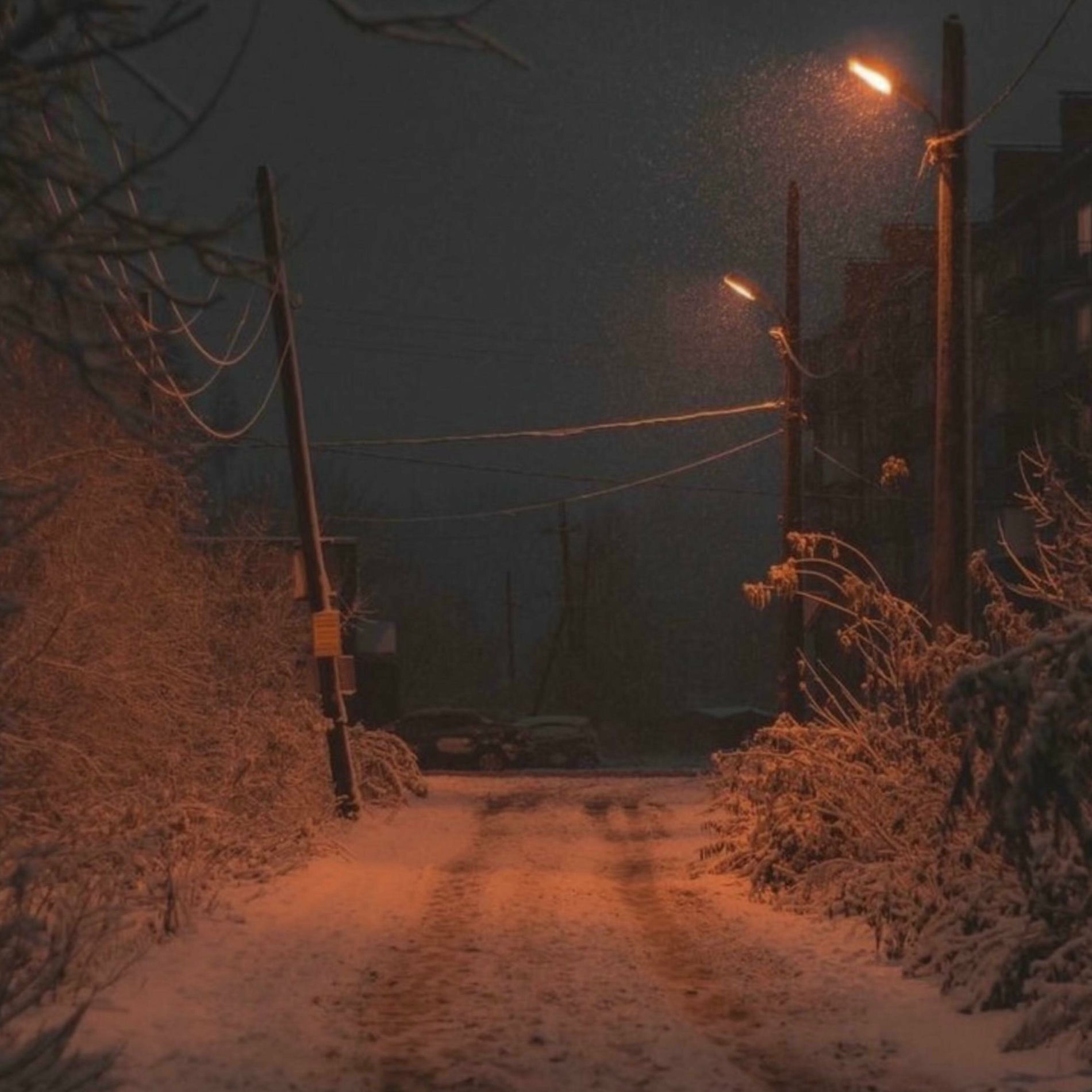 Album cover of coldest winter