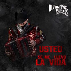 Cover of Usted Se Me Llevó La Vida