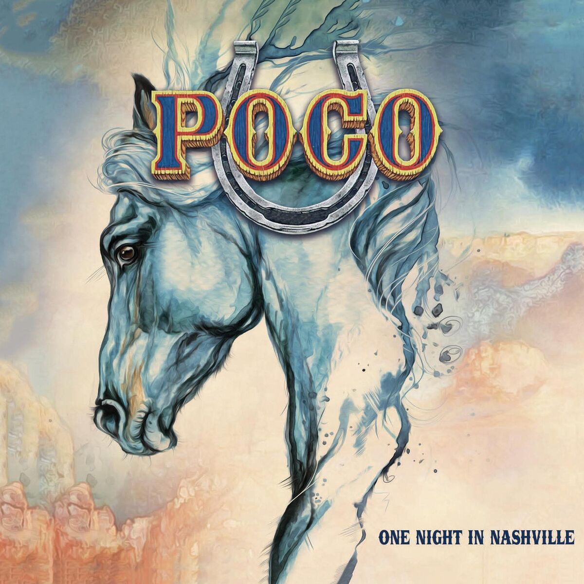 Album cover of One Night in Nashville (Live)
