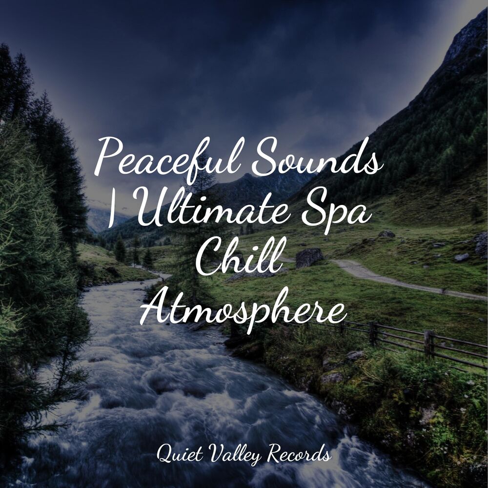 Picture of Peaceful Sounds | Ultimate Spa Chill Atmosphere