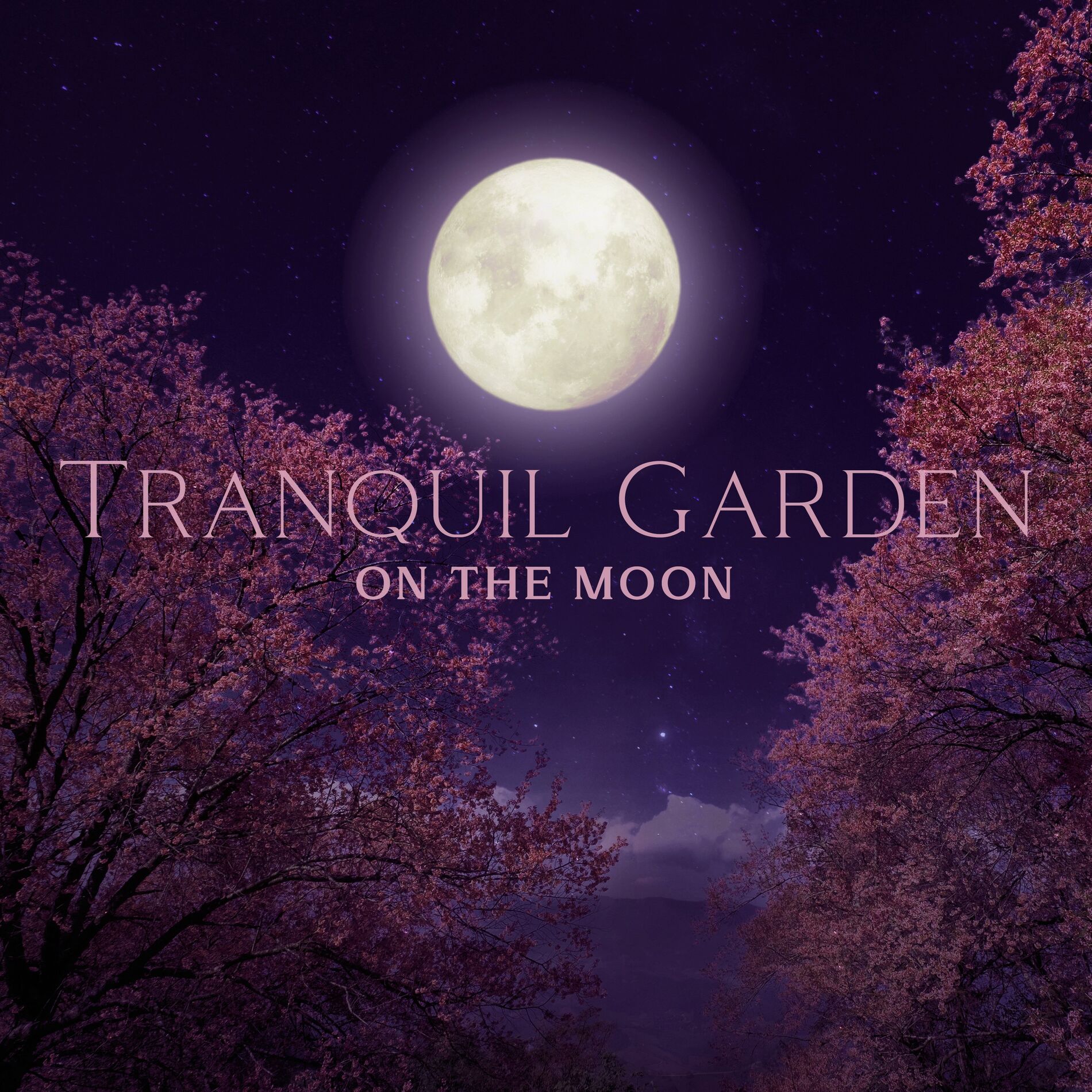 Album cover of Tranquil Garden on the Moon: Silence Meditation, Sleep Hypnosis and Reiki Music Healing