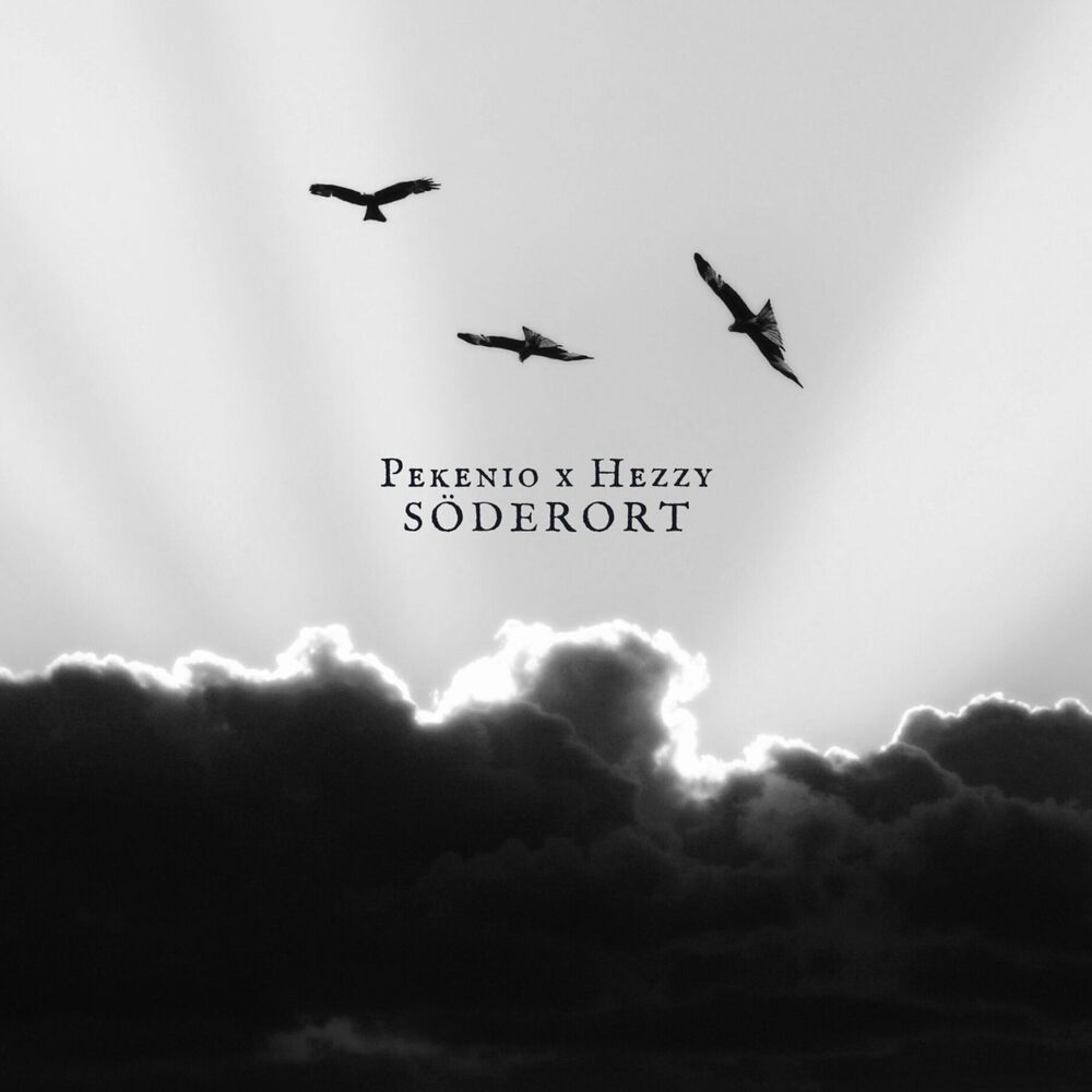 Picture of Söderort