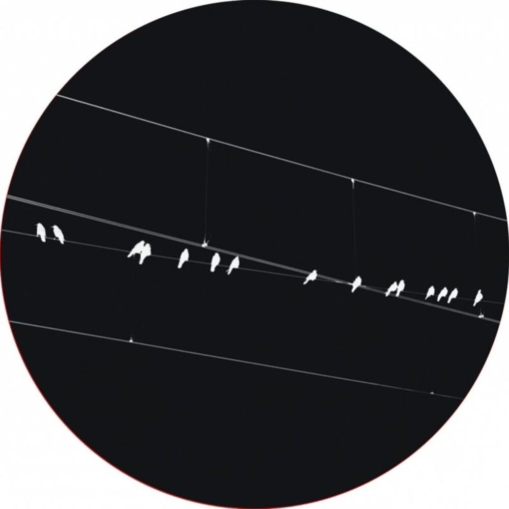 Picture of Cruising EP