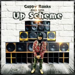 Cover of Up Scheme