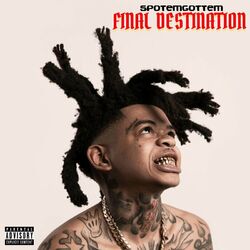 Cover of Final Destination