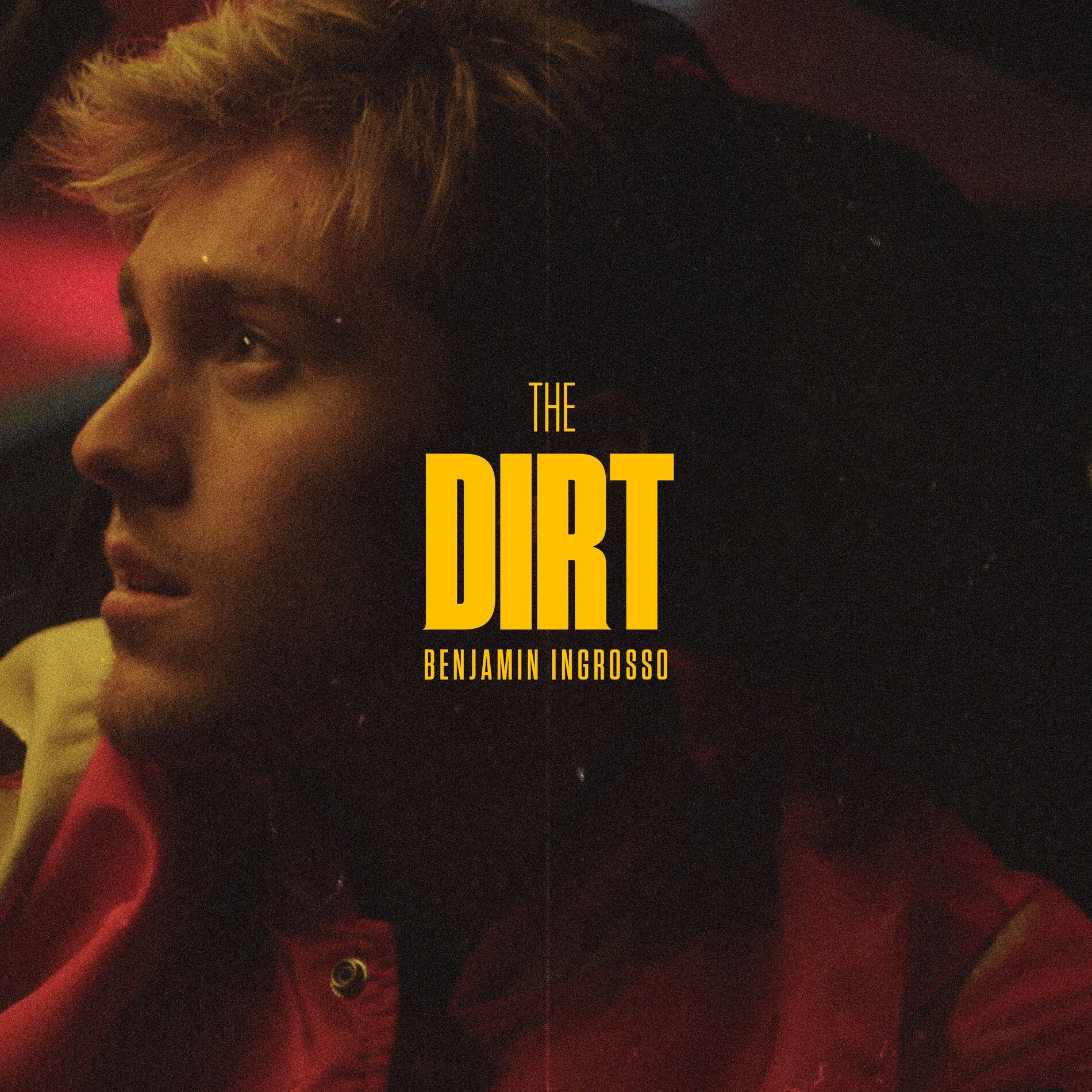 Album cover of The Dirt