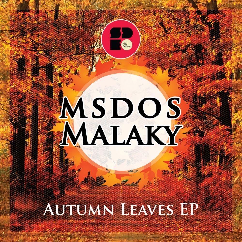 Picture of Autumn Leaves
