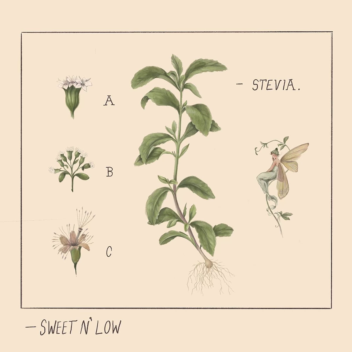 Album cover of Sweet n' Low
