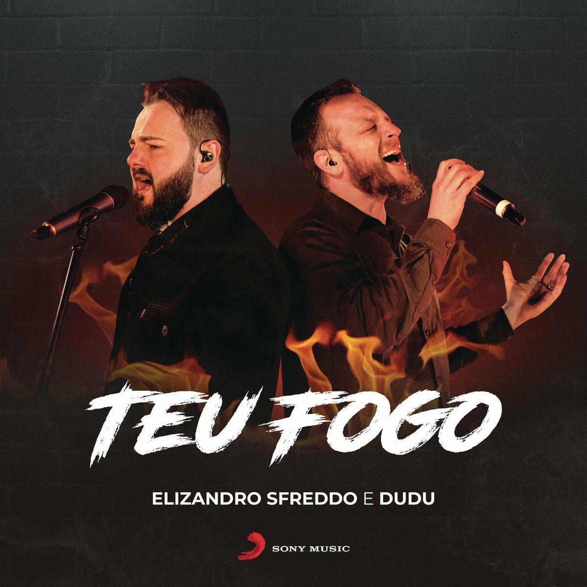 Album cover of Teu Fogo