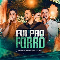 Cover of Fui Pro Forró