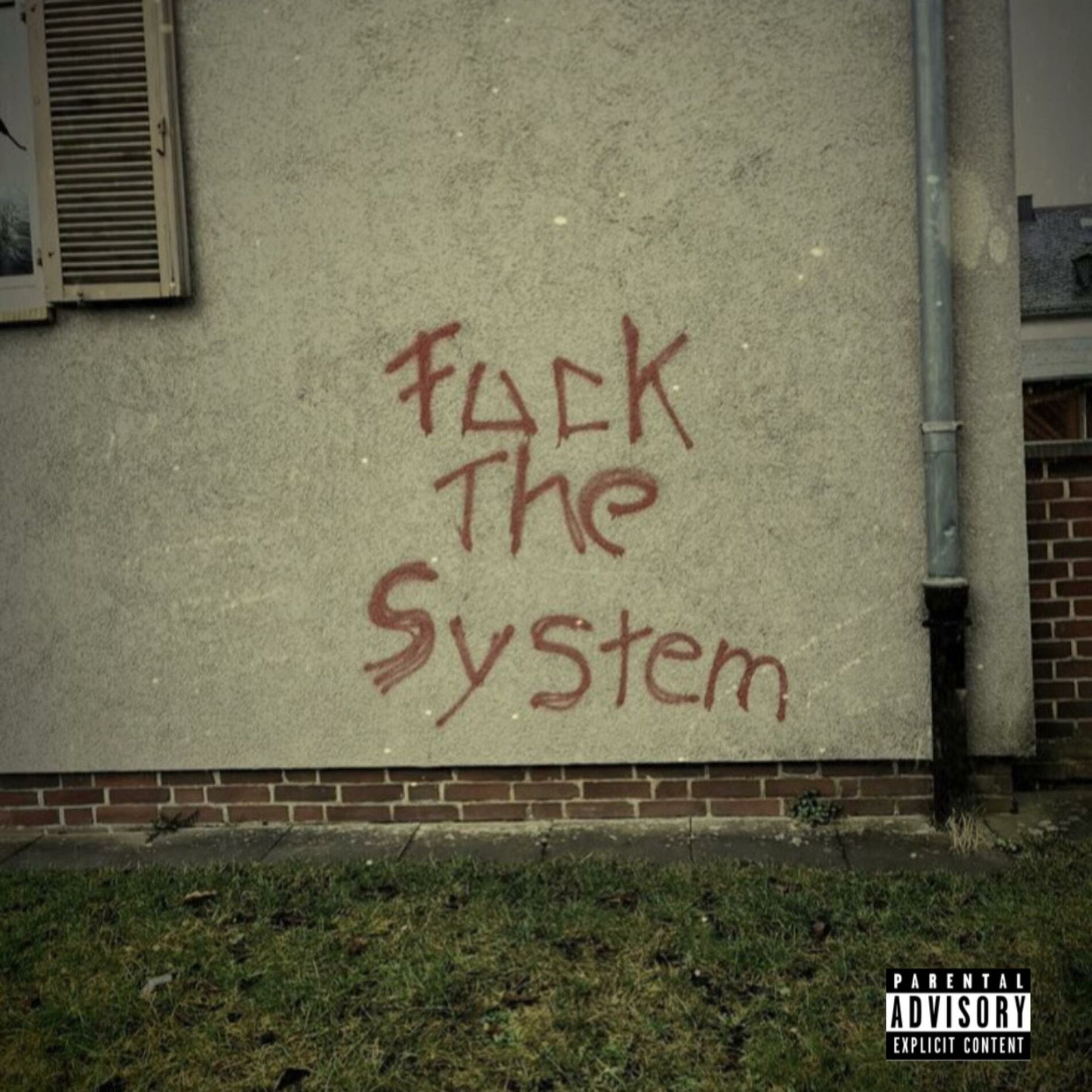 Album cover of Fuck The System