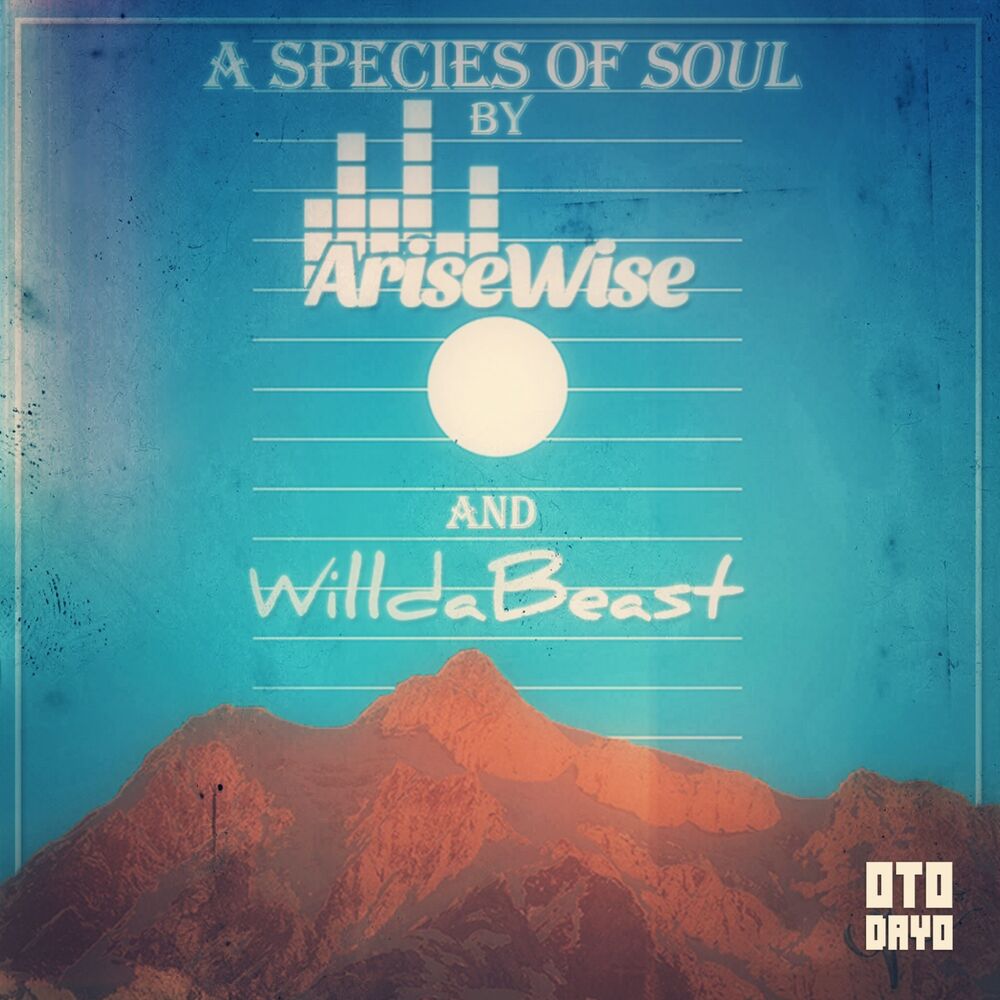 Picture of A Species of Soul