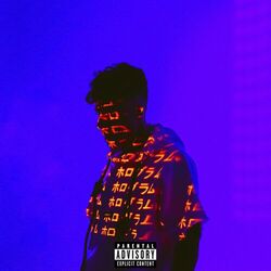 Cover of Holograma