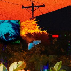 Cover of Even