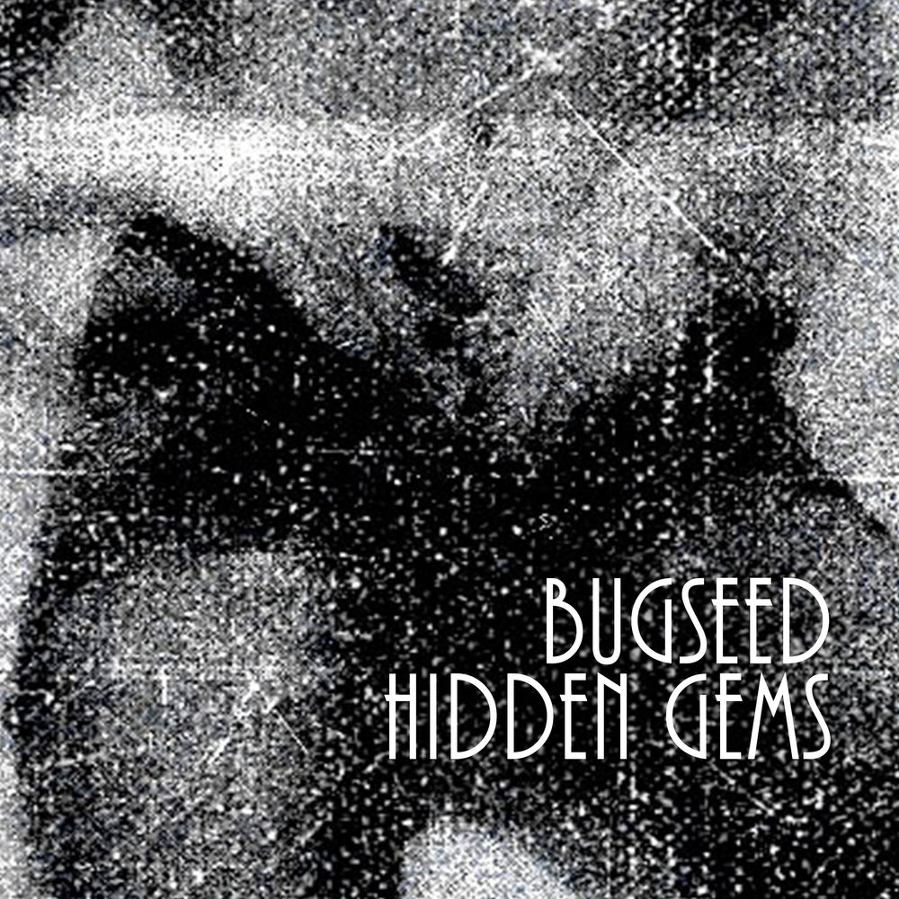 Hidden Gems cover