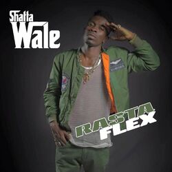 Cover of Rasta Flex
