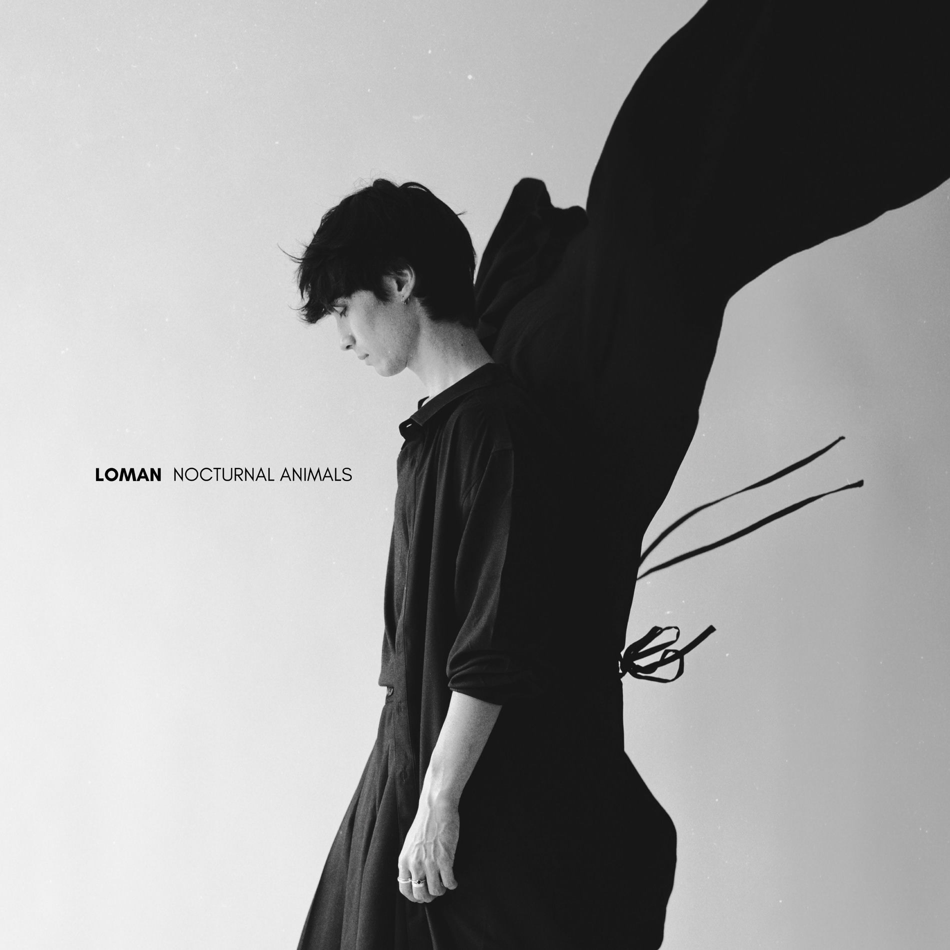 Album cover of Nocturnal Animals