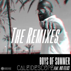 Boys Of Summer (The Remixes)