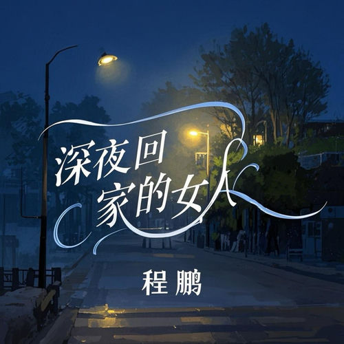 深夜回家的女人 (Dj浩然版)