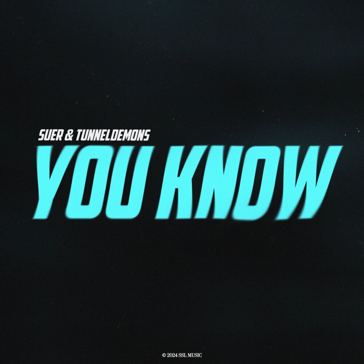 Album cover of You Know
