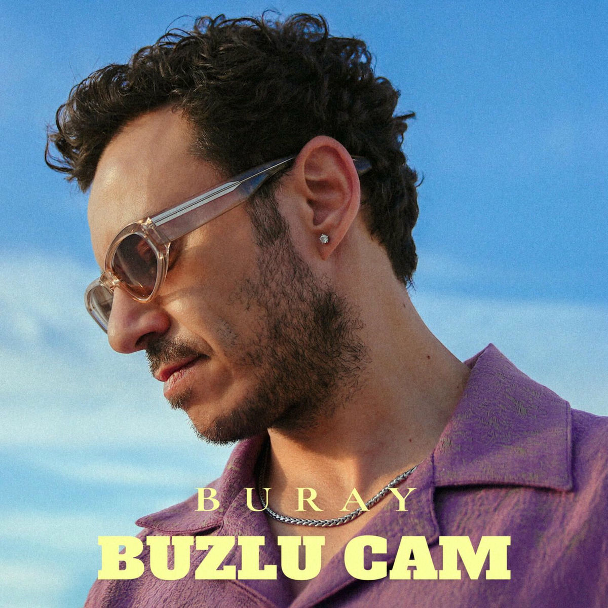 Album cover of Buzlu Cam