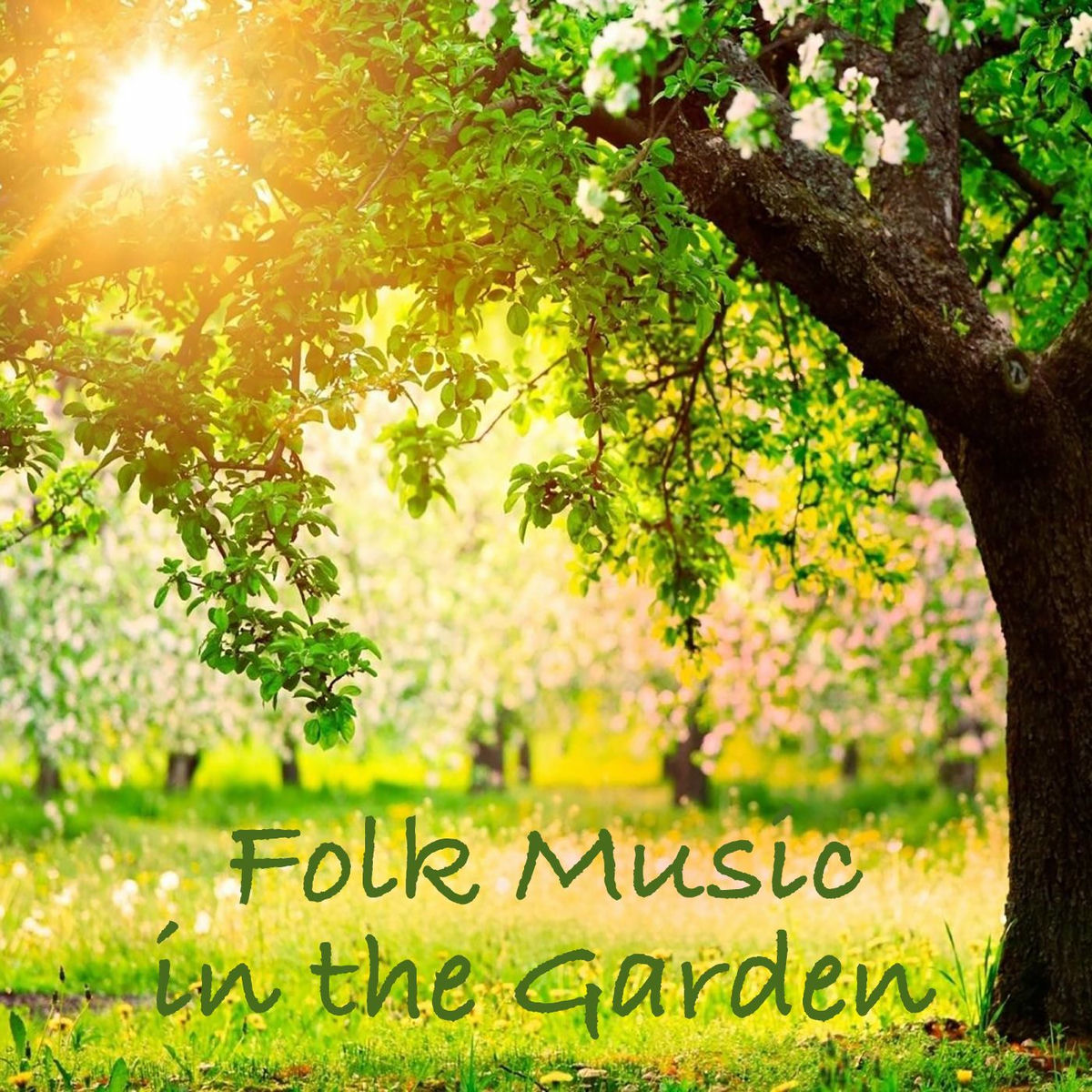 Album cover of Folk Music in the Garden