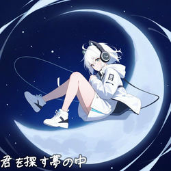 In a dream looking for you