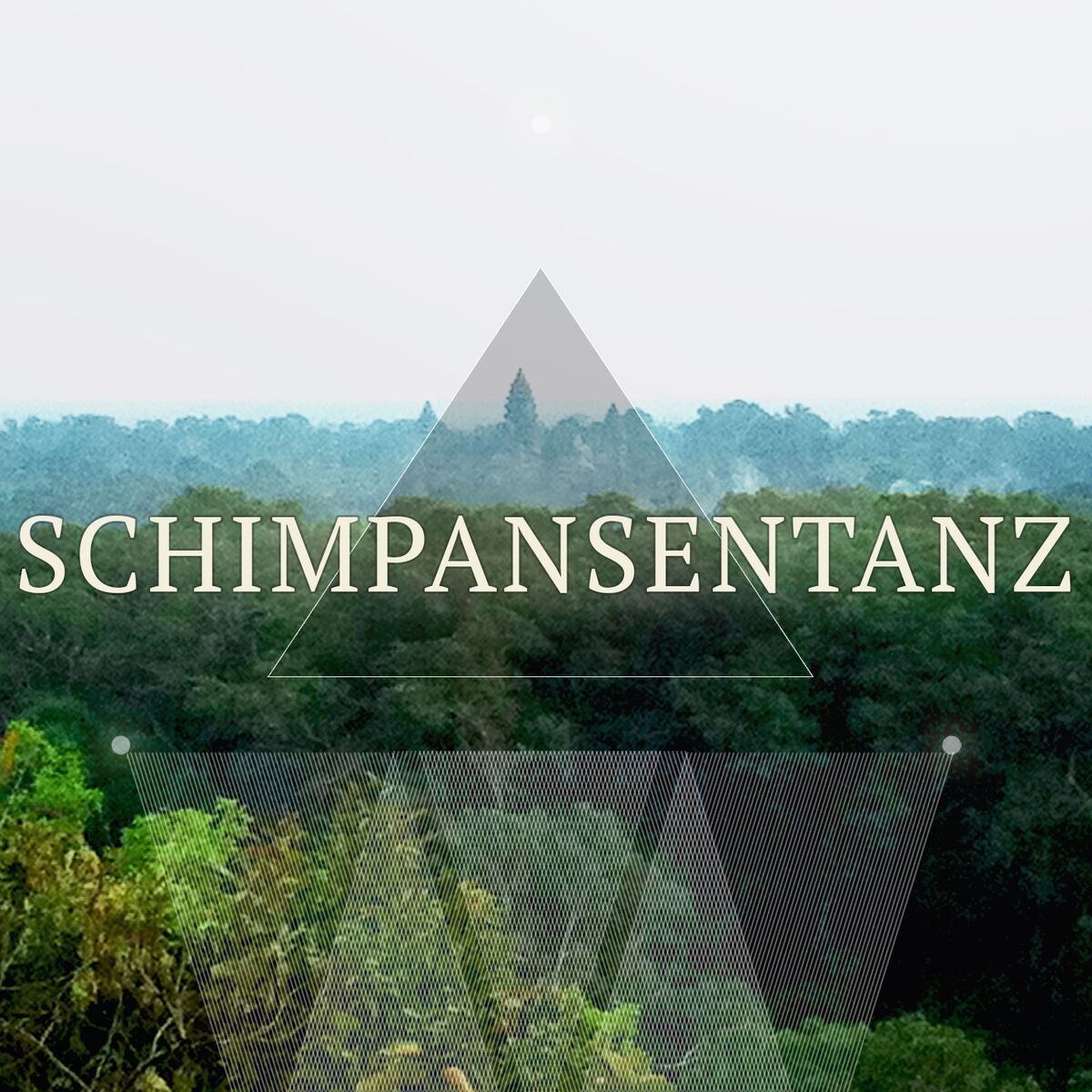 Album cover of Schimpansentanz, Vol. 1 (Crazy Deep House Compilation)