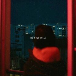 Cover of No Te Veo Feliz