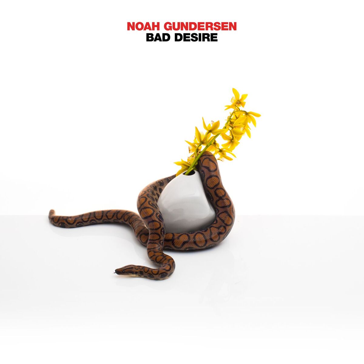 Album cover of BAD DESIRE