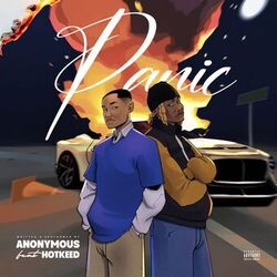 Cover of Panic